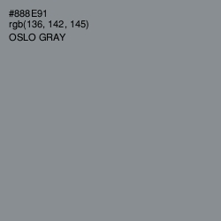 #888E91 - Oslo Gray Color Image
